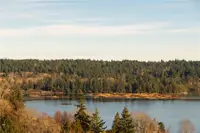 View 42