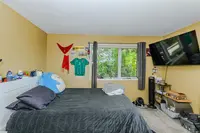 View 51
