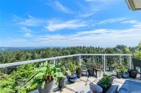 View 21