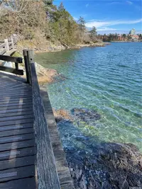 View 52