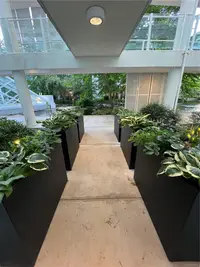 View 30