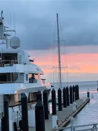 View 51