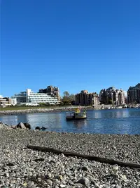 View 11