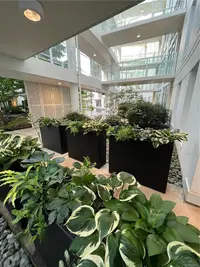 View 31
