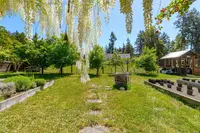 View 43