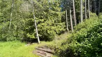 View 26