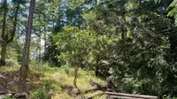 View 29