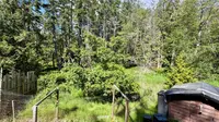 View 25