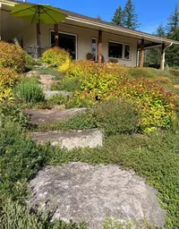 View 56