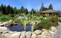 View 68