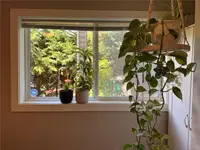 View 46