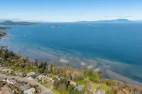 View 40