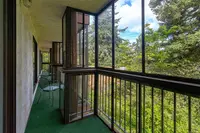 View 37