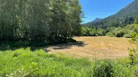 View 52