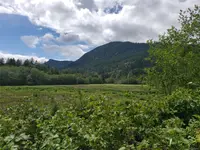 View 43