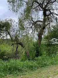 View 12