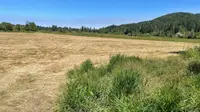 View 53