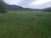 View 49