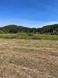 View 51