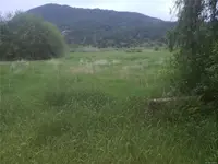 View 50