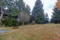 View 41