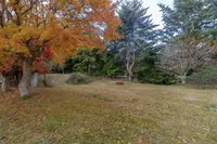 View 44