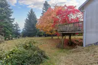 View 39