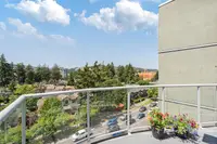 View 19