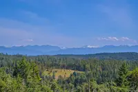 View 43