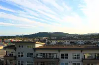 View 17