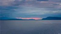 View 81