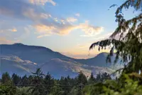 View 65