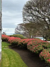 View 27