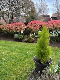 View 26