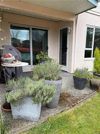 View 36