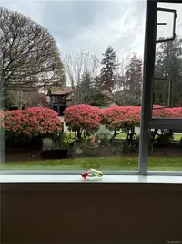 View 28