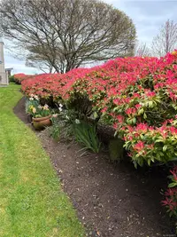 View 24