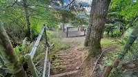 View 91