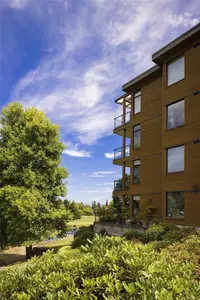 View 39