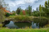 View 54
