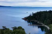 View 65