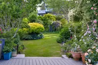 View 39