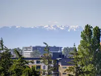 View 6