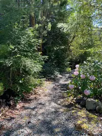 View 52
