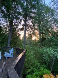 View 44