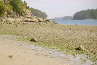 View 29