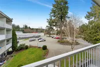 View 17