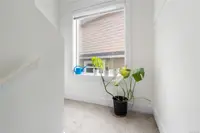 View 16