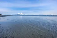 View 40