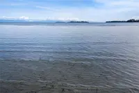 View 39